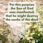 For this purpose the Son of God was manifested, that he might destroy the works of the devil, 1 John 3,8