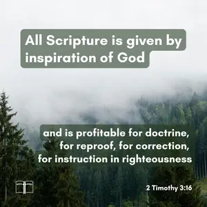 Bible verse 2 Timothy 3:16 over a misty forest landscape, stating that all Scripture is inspired by God and useful for teaching and correction.