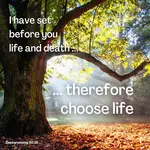 I have set before you life and death, blessing and cursing; therefore choose life, that both you and your descendants may live, Deut 30:19