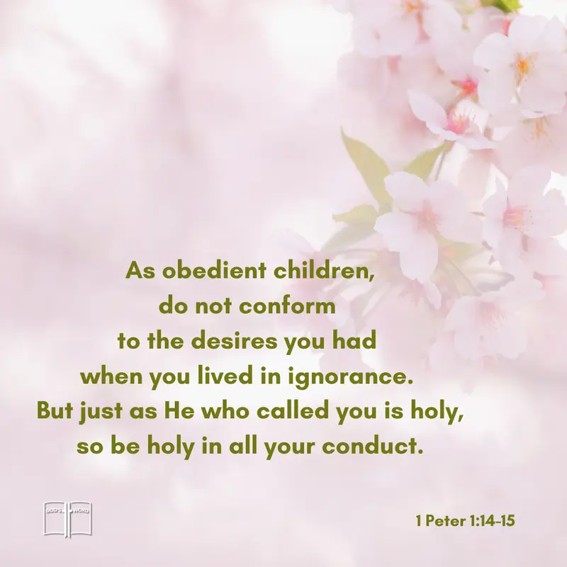 Be Holy in All Conduct – 1 Peter 1:14–15 Cherry blossoms with Bible verse from 1 Peter 1 calling believers to holiness.