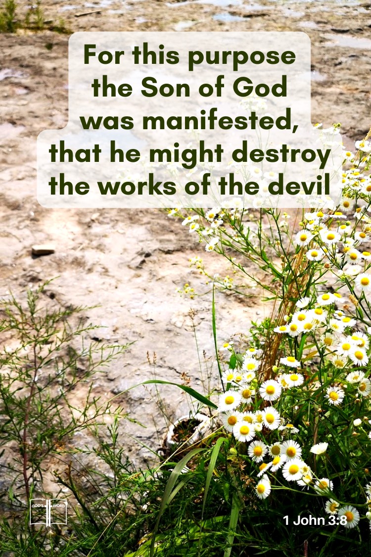 For this purpose the Son of God was manifested, that he might destroy the works of the devil, 1 John 3,8
