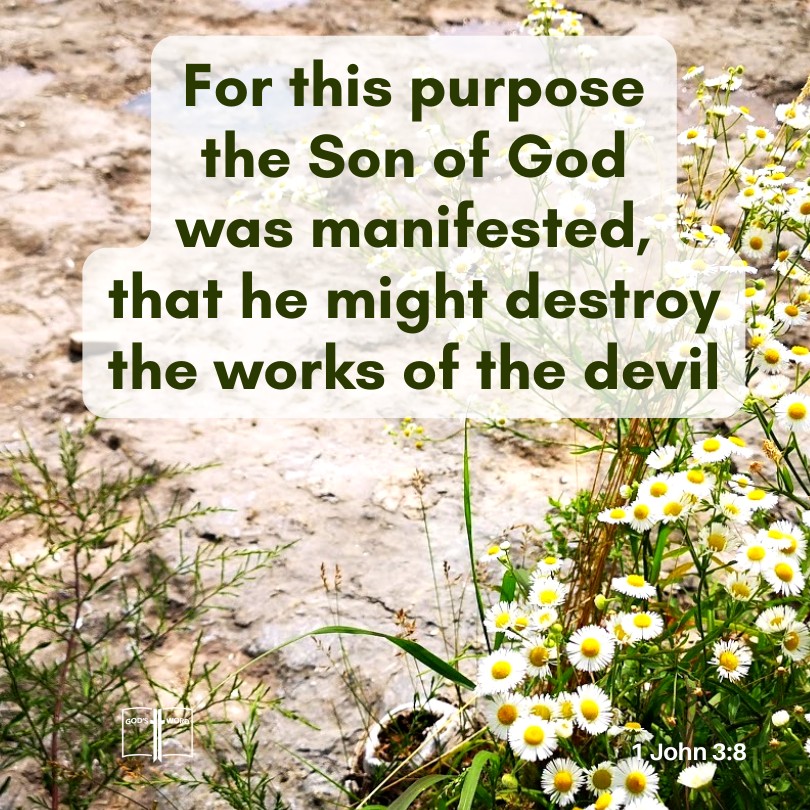 For this purpose the Son of God was manifested, that he might destroy the works of the devil, 1 John 3,8