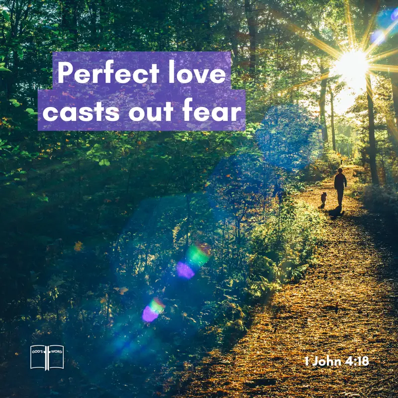Perfect Love Casts Out Fear – 1 John 4:18 Bible verse image with a person walking in sunlit forest and the words “Perfect love casts out fear” from 1 John 4:18.