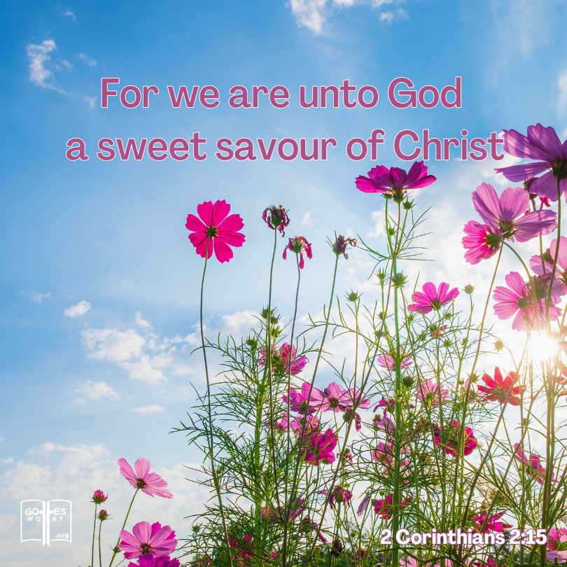 For we are unto God a sweet savour of Christ, in them that are saved, and in them that perish, 2 Corinthians 2:15