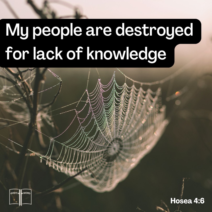 My people are destroyed for lack of knowledge, Hosea 4,6