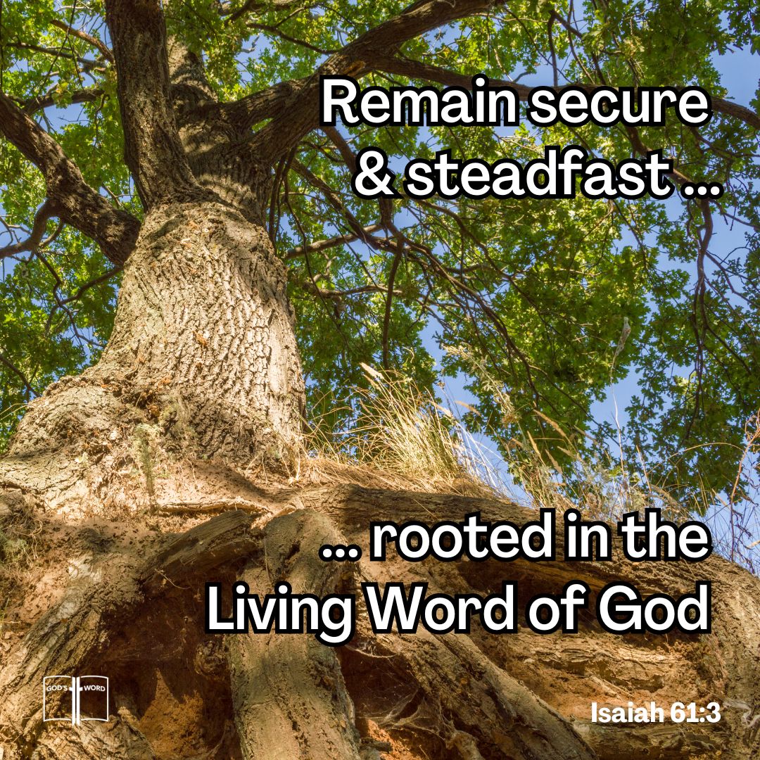 To appoint unto them ... the garment of praise for the spirit of heaviness; that they might be called trees of righteousness, the planting of the LORD, that he might be glorified, Isaiah 61:3 To appoint unto them that mourn in Zion, to give unto them beauty for ashes, the oil of joy for mourning, the garment of praise for the spirit of heaviness; that they might be called trees of righteousness, the planting of the LORD, that he might be glorified, Isaiah 61:3