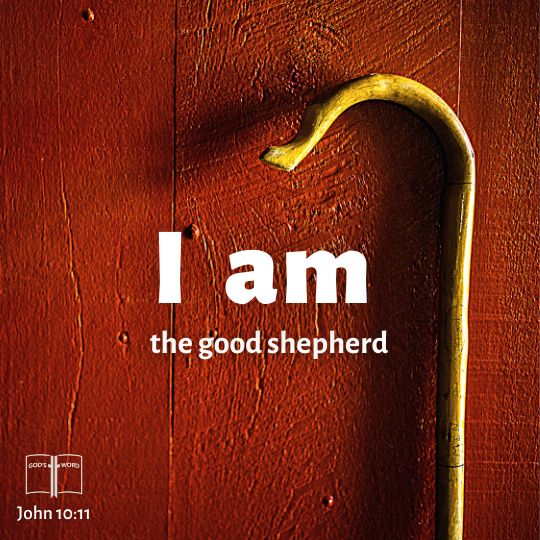 I am the good shepherd. The good shepherd sacrifices his life for the sheep, John 10:11 I am the good shepherd. The good shepherd sacrifices his life for the sheep, John 10:11