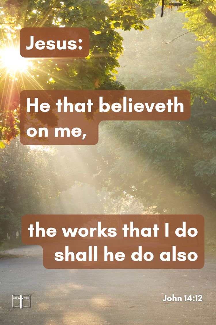 Bible verse John 14:12 quoted from Jesus over a sunlit forest road, emphasizing belief in Christ and continuing His works.