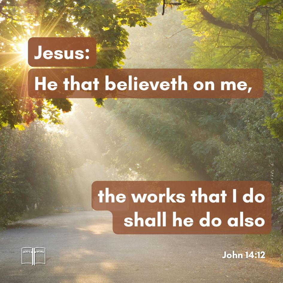 Bible verse John 14:12 quoted from Jesus over a sunlit forest road, emphasizing belief in Christ and continuing His works.