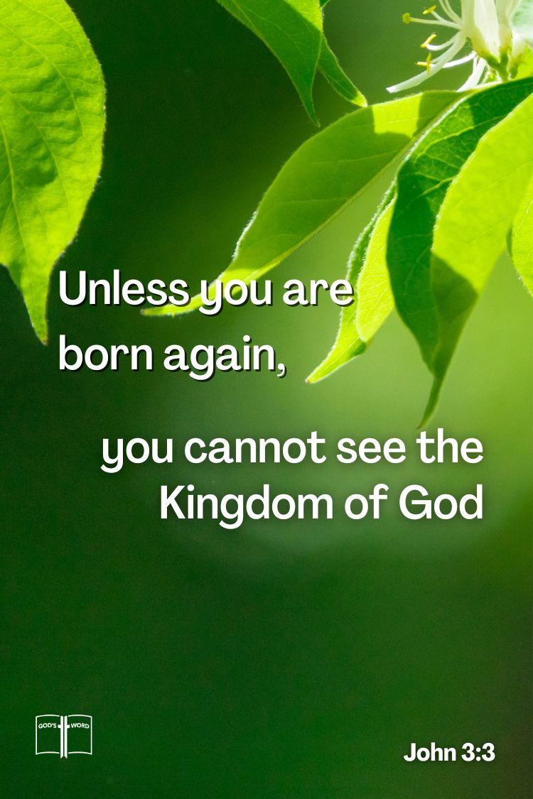 I tell you the truth, unless you are born again, you cannot see the Kingdom of God, John 3:3