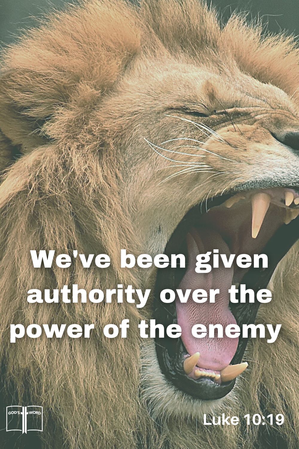 I give unto you power to tread on serpents and scorpions, and over all the power of the enemy, Luke 10:19.