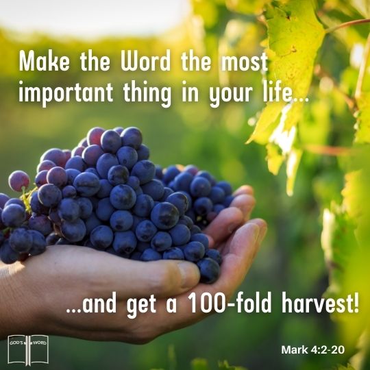 Make the Word the most important thing in your life ... and get a 100-fold harvest. Mark 4:2-20