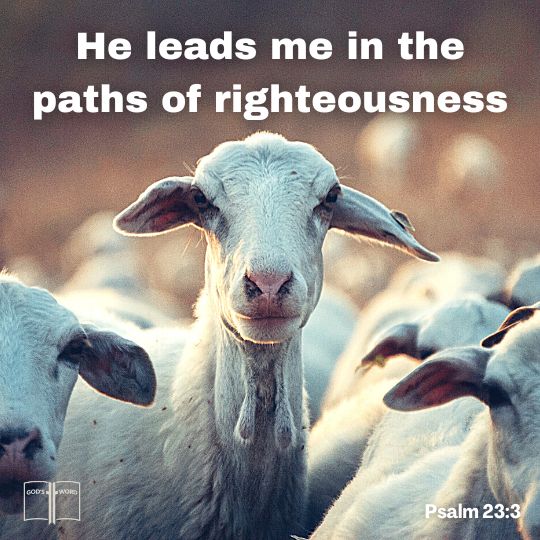 He restoreth my soul: he leadeth me in the paths of righteousness for his name's sake, Psalm 23:3 He restoreth my soul: he leadeth me in the paths of righteousness for his name's sake, Psalm 23:3