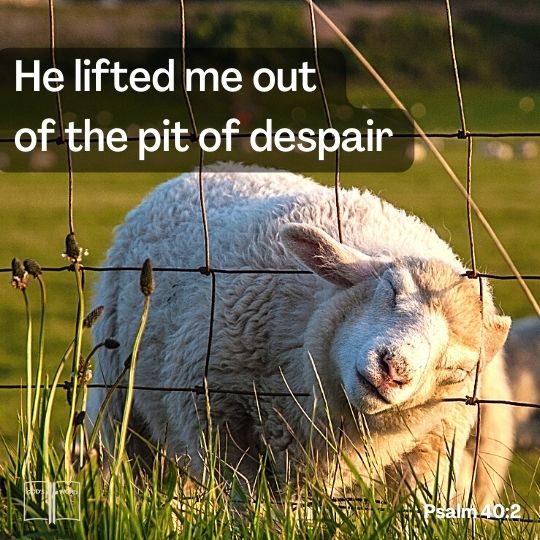 He [The LORD] brought me up also out of an horrible pit, out of the miry clay, and set my feet upon a rock, Psalm 40:2