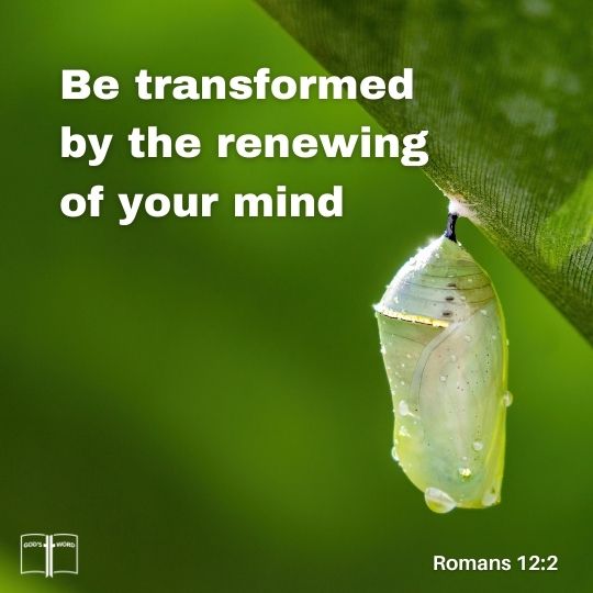 And be not conformed to this world: but be ye transformed by the renewing of your mind, that ye may prove what is that good, and acceptable, and perfect, will of God, Romans 12:2 And be not conformed to this world: but be ye transformed by the renewing of your mind, that ye may prove what is that good, and acceptable, and perfect, will of God, Romans 12:2