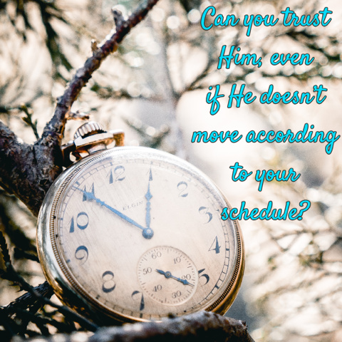 Can you trust God even if He doesn't move according to your schedule?