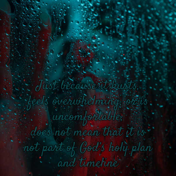 Do you believe Romans 8:28? A person's face behind a wet window with the words: just because it hurts, feels overwhelming, or is uncomfortable, does not mean that it is not part of God’s holy plan and timeline.