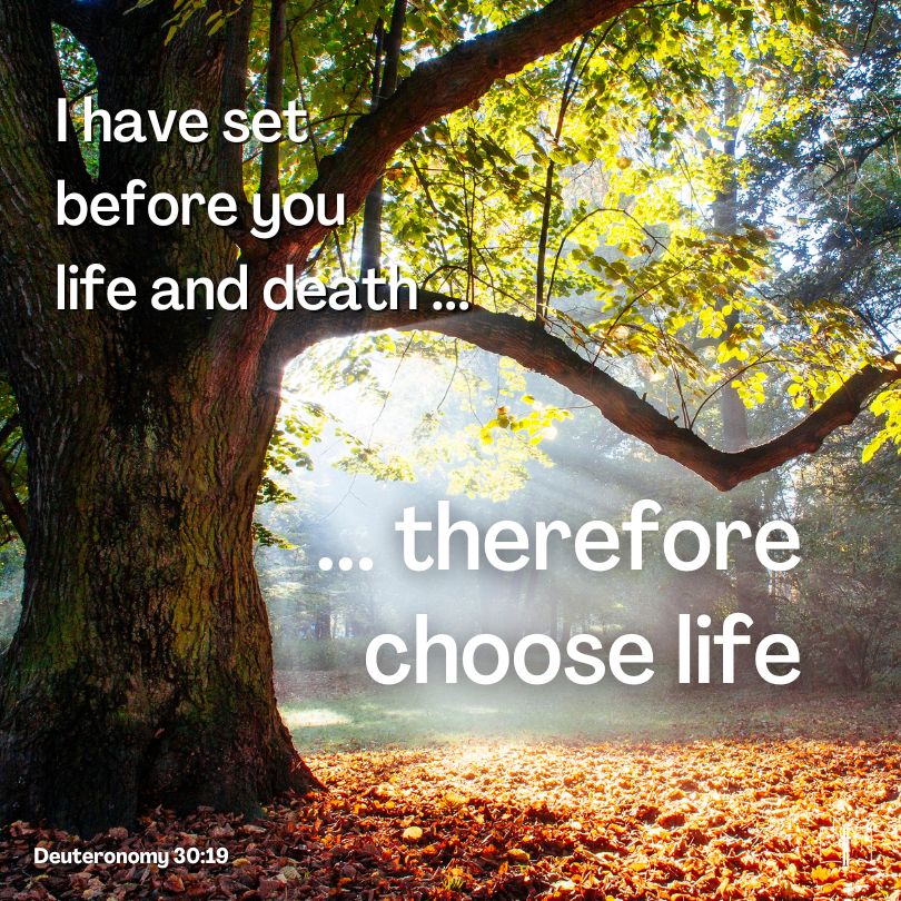 I have set before you life and death, blessing and cursing; therefore choose life, that both you and your descendants may live, Deut 30:19