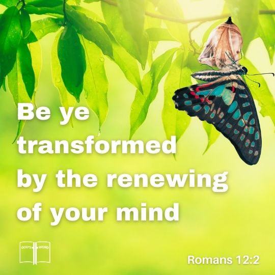 And be not conformed to this world: but be ye transformed by the renewing of your mind, that ye may prove what is that good, and acceptable, and perfect, will of God, Romans 12:2