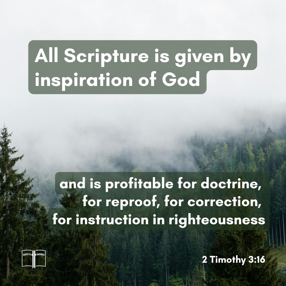 Bible verse 2 Timothy 3:16 over a misty forest landscape, stating that all Scripture is inspired by God and useful for teaching and correction.